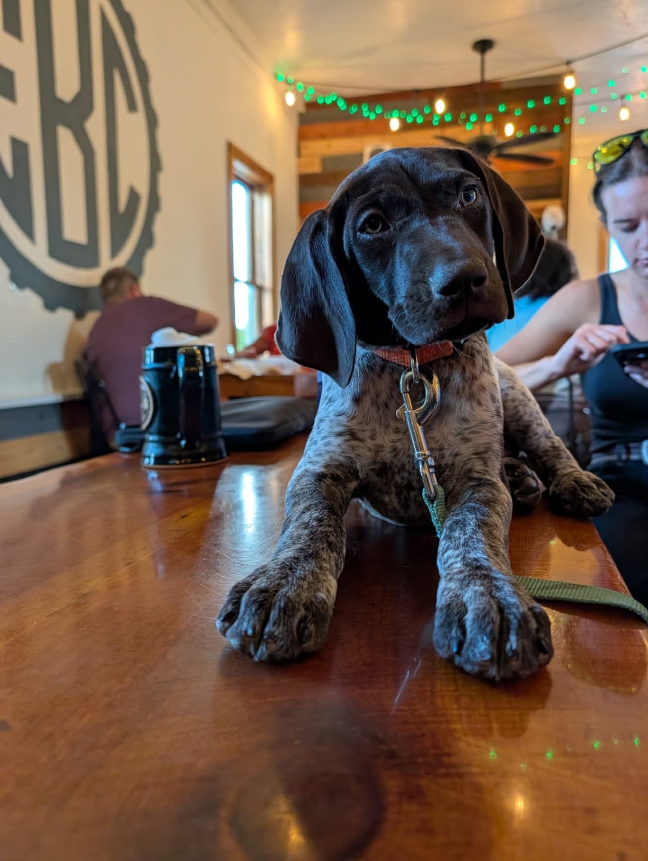 Ellie
